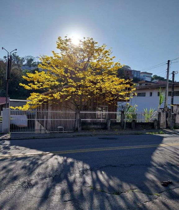 Velha House | Casa em Blumenau Oktoberfest e demais eventos até 13 pessoas