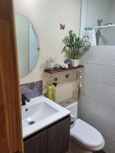 Rio del Sur House | Casa en medio del bosque