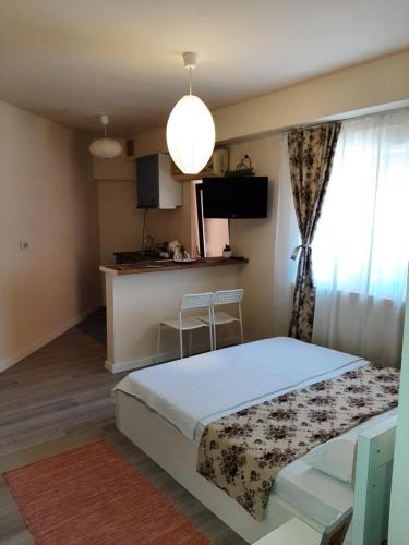 Craiova House | Casa Flamingo