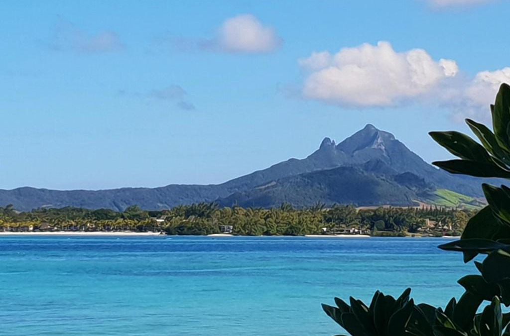 Trou d'Eau Douce Apartment | Casa Frangipani Mauritius