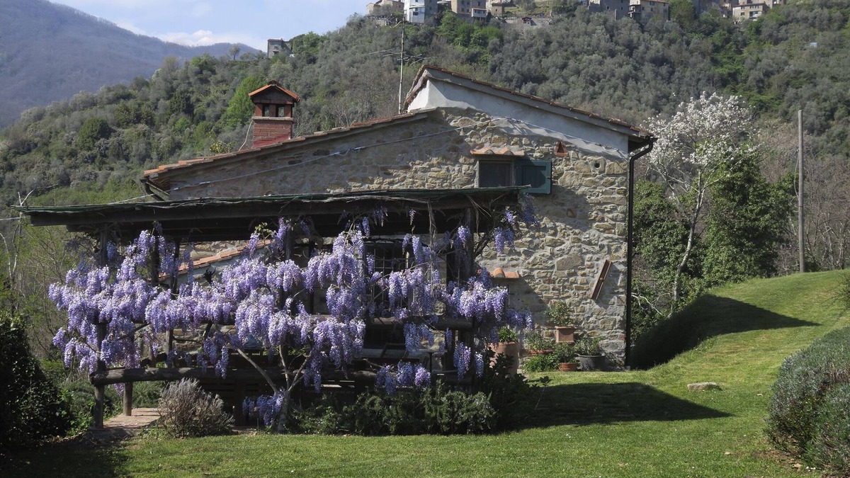 Pescia House | Casa Giusti Vellano PESCIA Pistoia