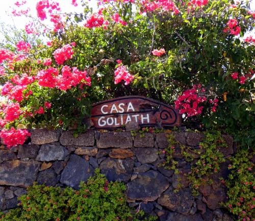 Isora House | Casa Goliath