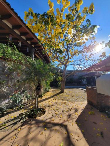 Morelos House | Casa Grande con Alberca en San Gaspar