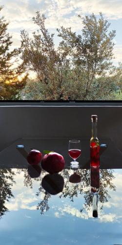 Ermionida Villa | Casa Horizon