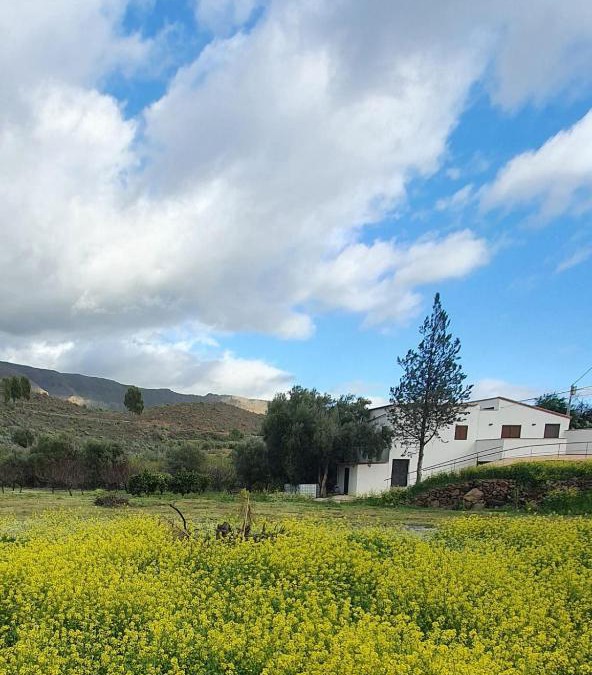 San Bartolome de Tirajana House | Casa Hoya Grande