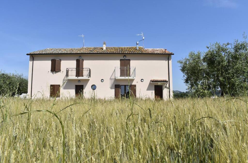 Colli al Metauro Apartment | Casa in Campagna, Tavernelle di Serrungarina
