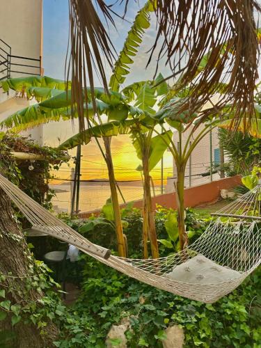 Ibiza City Centre House | Casa Klod Ibiza