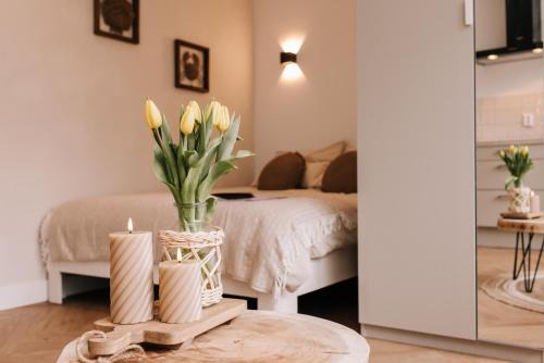 Zandvoort House | Casa la Vida Beach House & Free Bikes