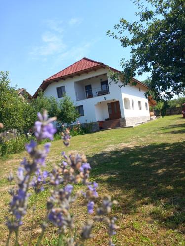 Gorj House | CASA LAVINIA CRASNA GORJ