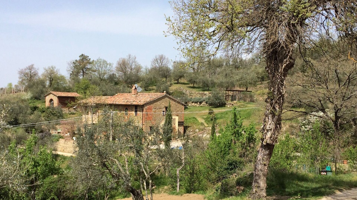 Panicale Apartment | CASA LORENZO ~ OLIVA. Stunning peaceful farmhouse apt with pool. 2 ~ 4 people