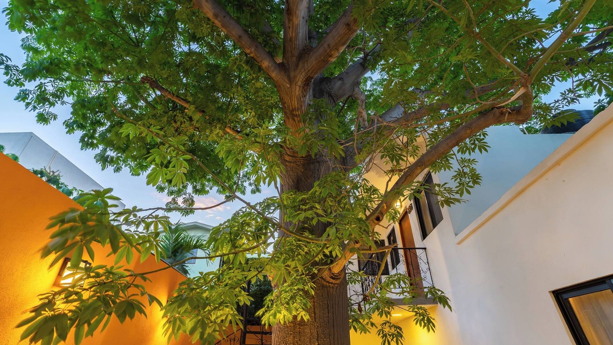 Esterito Hotel | Casa Madero Hotel