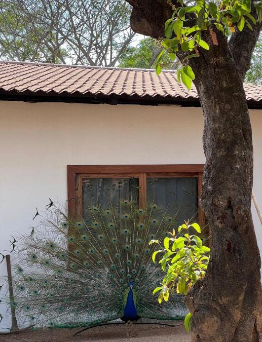Cuautepec Other | Casa Magdalena