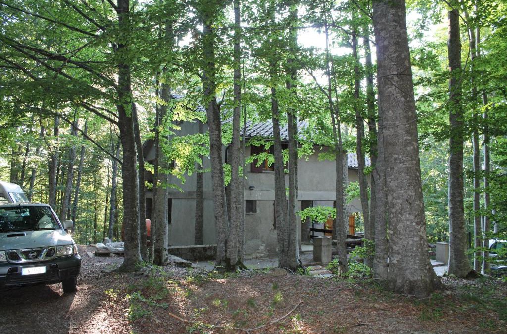 Castel del Piano Apartment | Casa nel bosco alle Macinaie