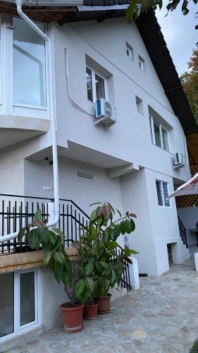 Pucioasa House | Casa NICORAD Camere
