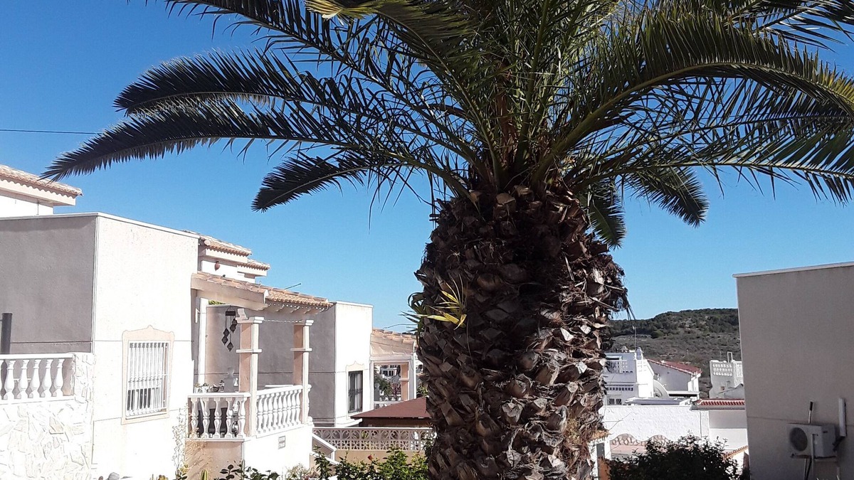 Rojales Apartment | Casa Oliva, 10 car minutes from the beach.
