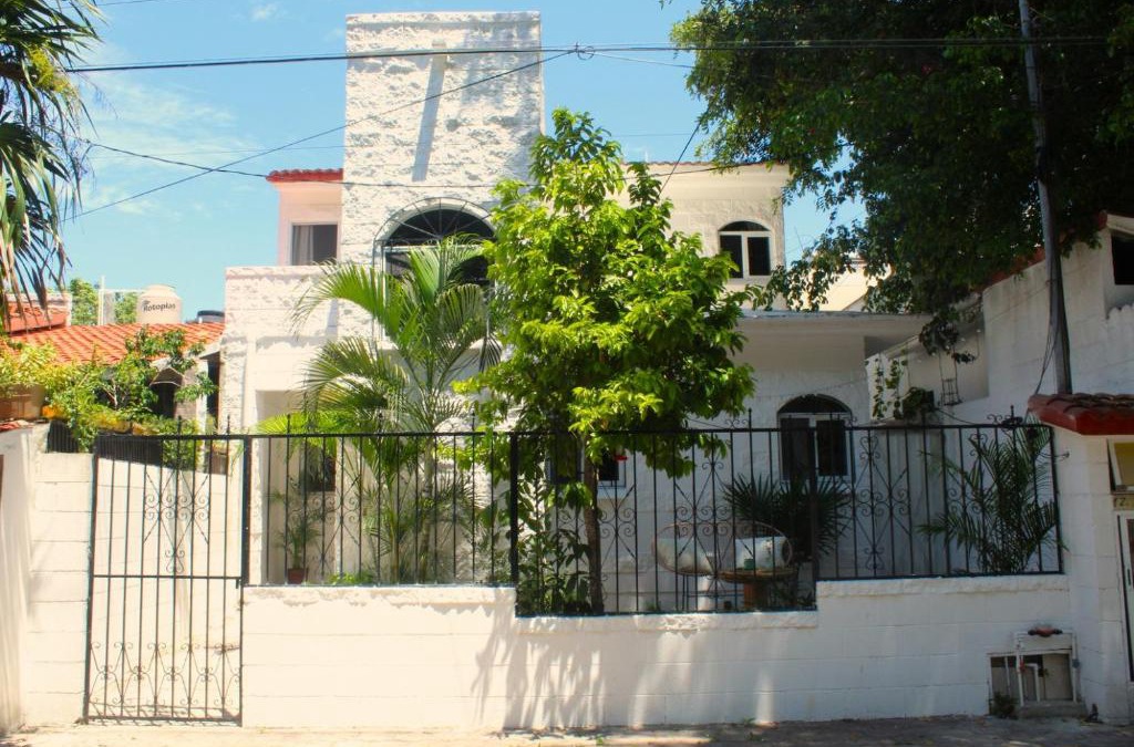 Tohoku House | Casa Palmita