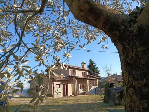 Assisi House | Casa Paradiso - Assisi
