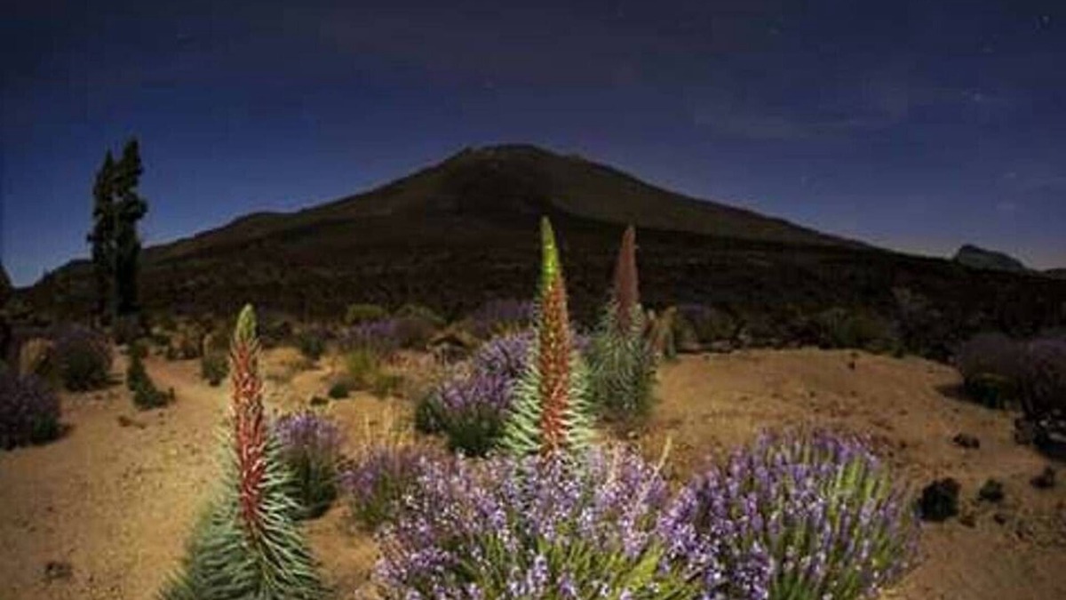 El Tanque Cottage | "CASA PAUCA" with magnificent views of Mount Teide