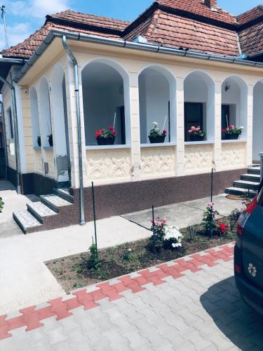 Ocna Mures House | Casa Petrutiu1