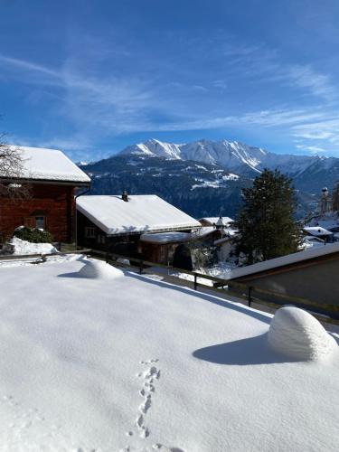 Ruschein Ski Chalet | Casa Plaun Martin