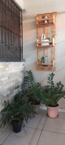 Cidade dos Colibris House | Casa próximo ao shopping Mangabeira