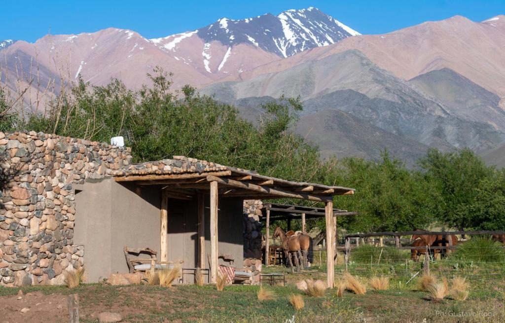 Tupungato Bed & Breakfast | Casa Ranchitos