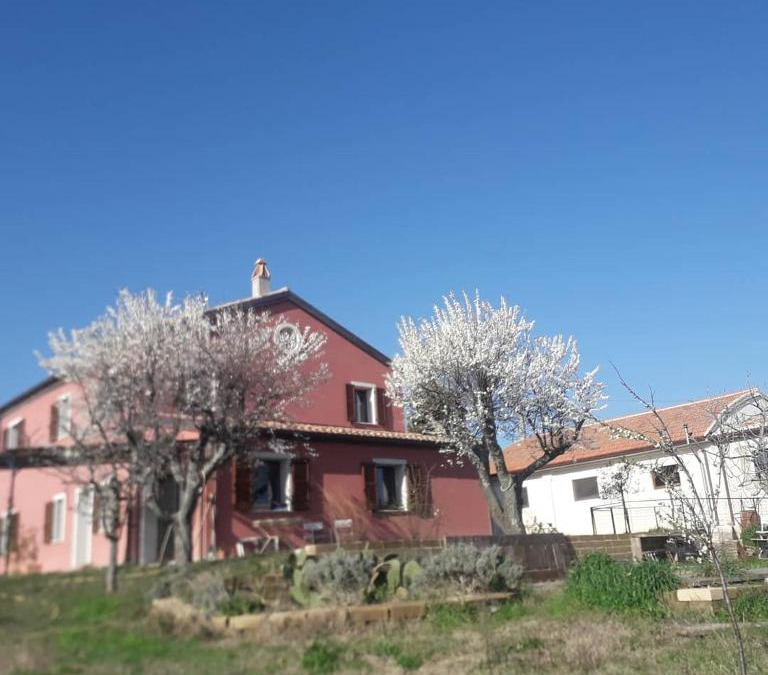 San Costanzo Bed & Breakfast | Casa Rosa