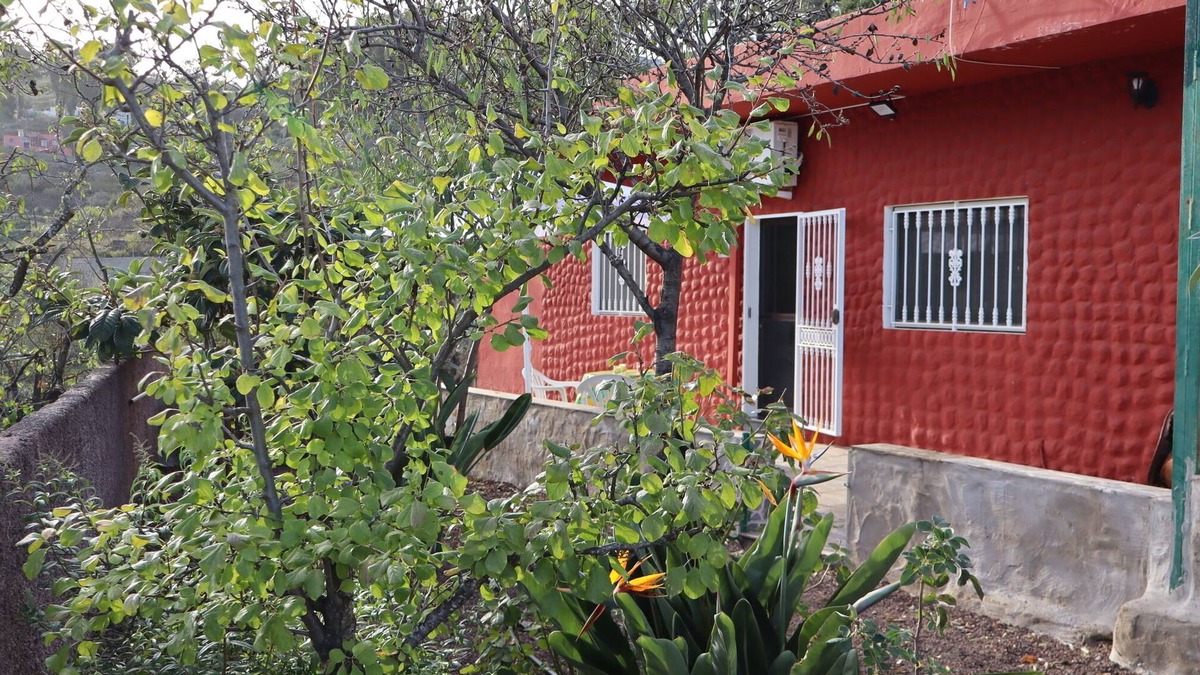 Vega de San Mateo Cottage | Casa Rural en San Mateo, con Finca Propia