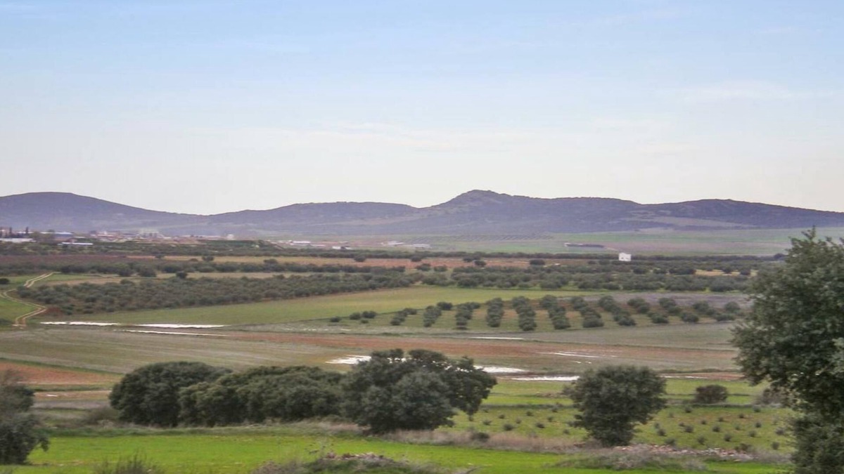 Castellar de Santiago House | Casa Rural Alonso Quijano El Bueno