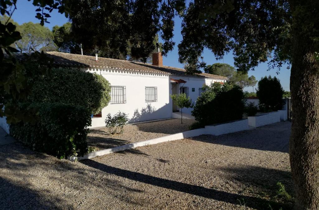 Casas de los Pinos House | Casa Rural la Huerta