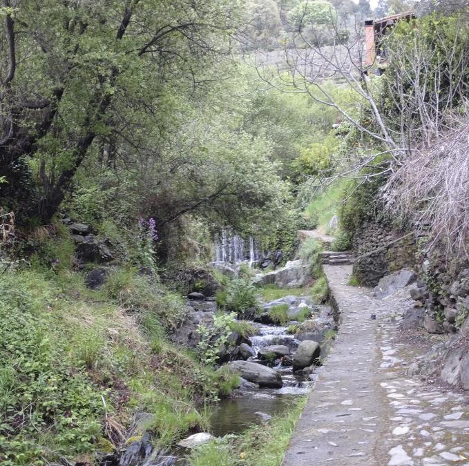 Robledillo de Gata House | Casa Rural La Ortiga
