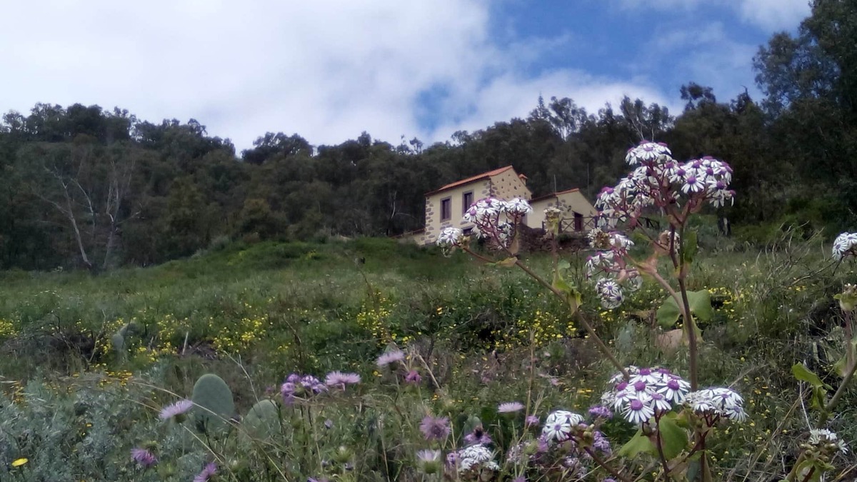Teror Cottage | Casa Rural Las Caldereras