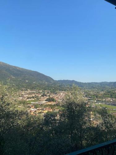 Camaiore House | Casa Rurale in mezzo al verde