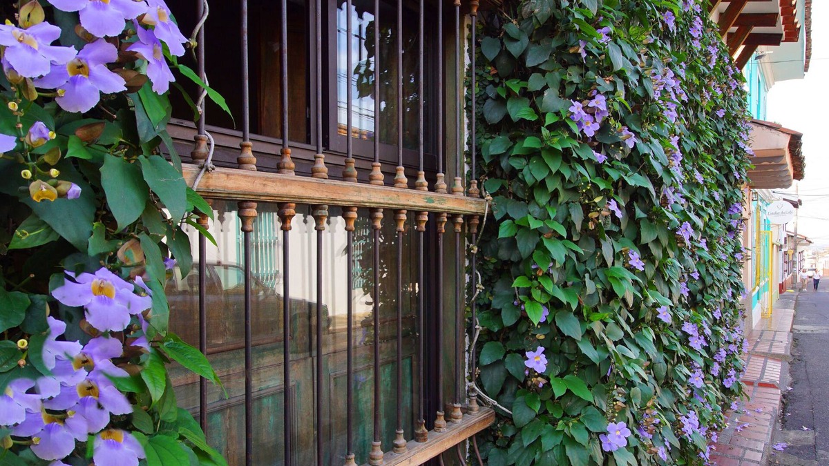 San Antonio Bed & Breakfast | Casa Ruta Sur