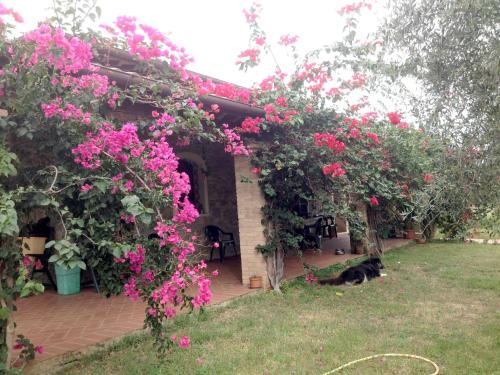 Girasole House | Casa Santina