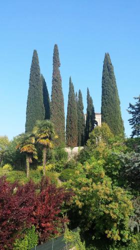 San Felice del Benaco Apartment | Casa Sol