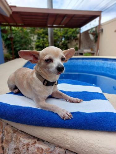 Montecarlo House | Casa Sol y Luna with pool in Merida Yuc