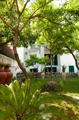 Torre Annunziata Apartment | Casa Teresinella Garden