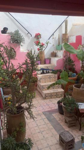 Sidi Ifni House | casa tradicional marroqui