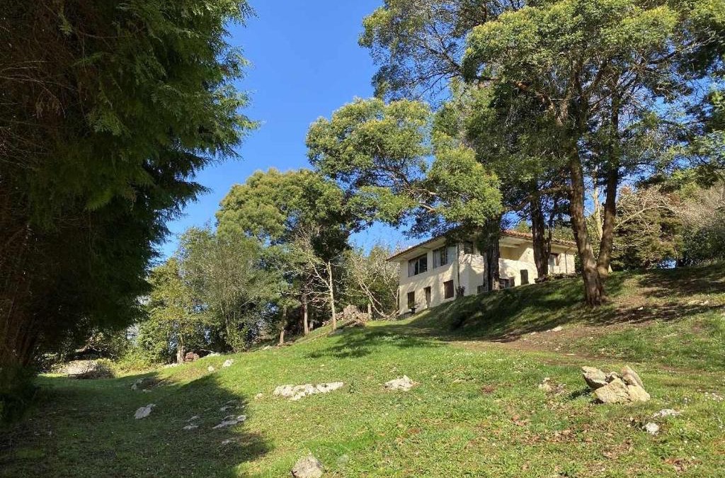 Vidiago House | Casa Vacacional Deva