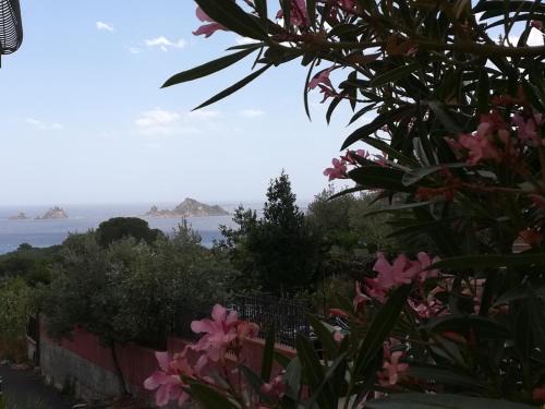 Santa Maria Navarrese Apartment | Casa Vacanze Bellavista