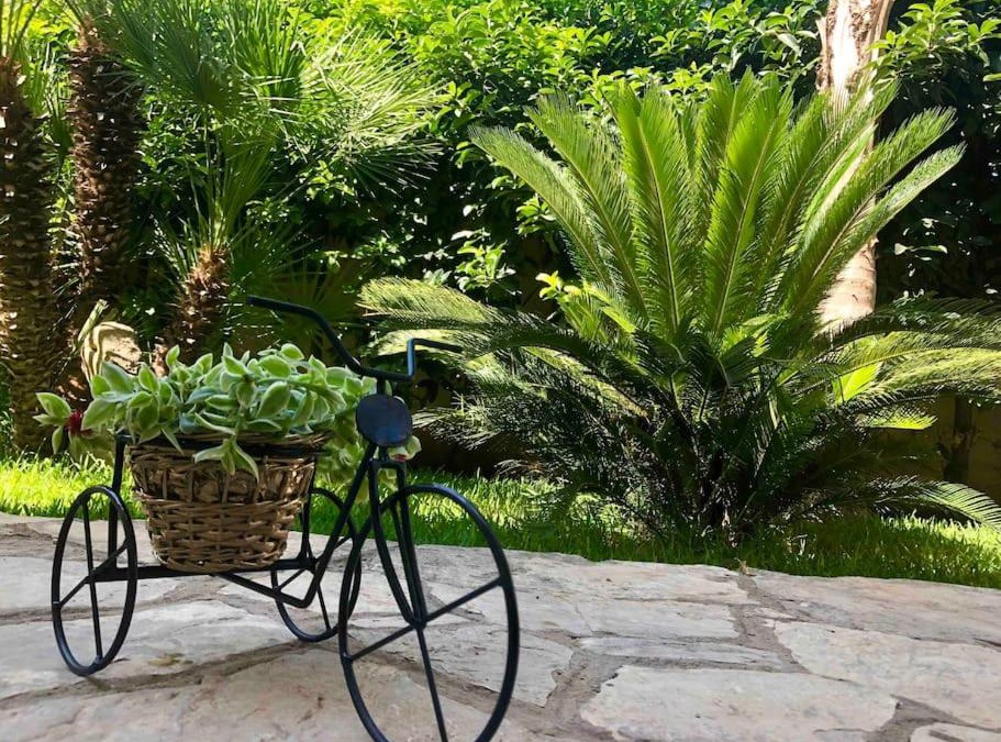 Galatina Apartment | Casa vacanze Salento&Natura