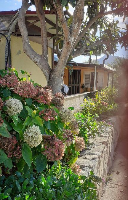 Cardedu Apartment | Casa Vacanze - Via Mare