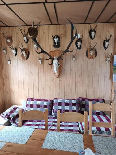 Vama Buzaului House | Casa Vanatorului Buzaiel