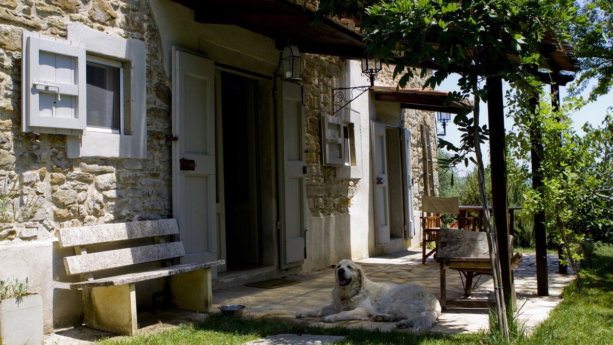 Monte Santa Maria Tiberina House | Casa Verde