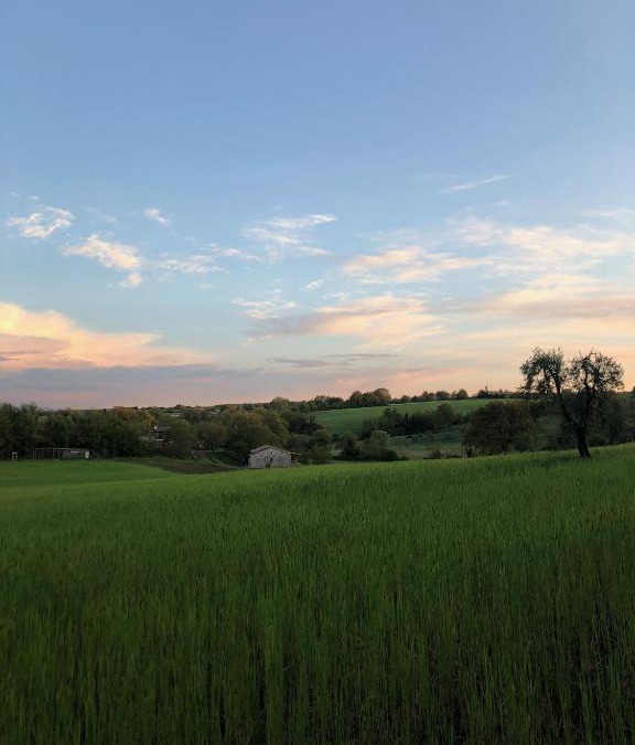 Orvieto House | Casa Vespina Agriturismo Biologico