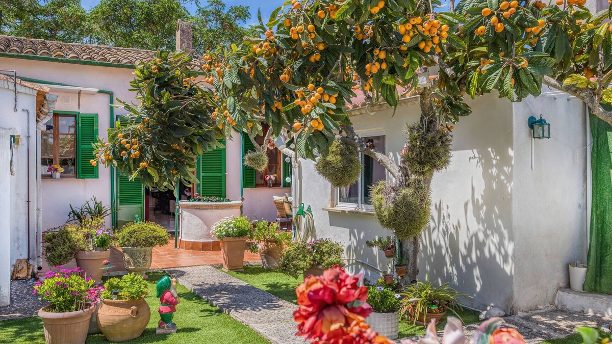 Palma de Mallorca Ski Chalet | Casa Vileta cozy townhouse with Flair near Palma