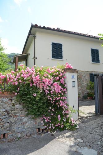 Monsummano Terme House | Casa1