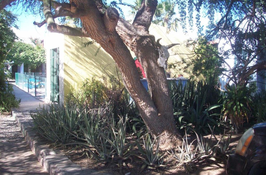 La Paz Bed & Breakfast | Casabuena B&B