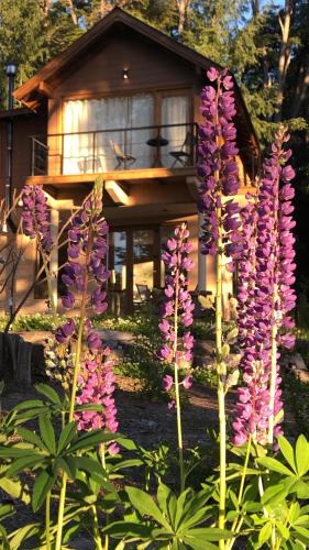 Villa La Angostura Apartment | CasaSur- 37Robles